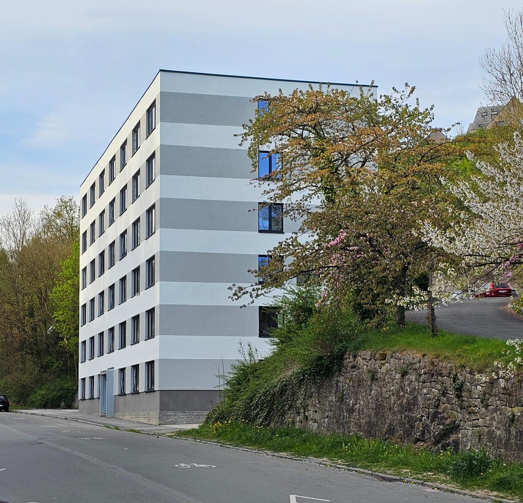 Le Cosy - Queen-size, full équipé, wifi, parking Namur Extérieur photo